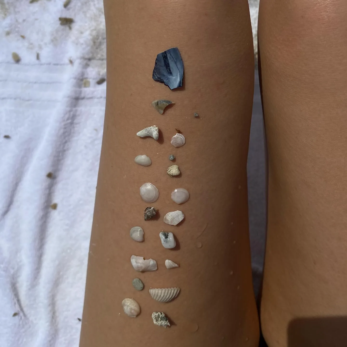 Small shells lined up on her arm